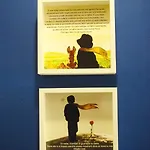 L'oasi Della Gatta Panciona 빌라시미우스